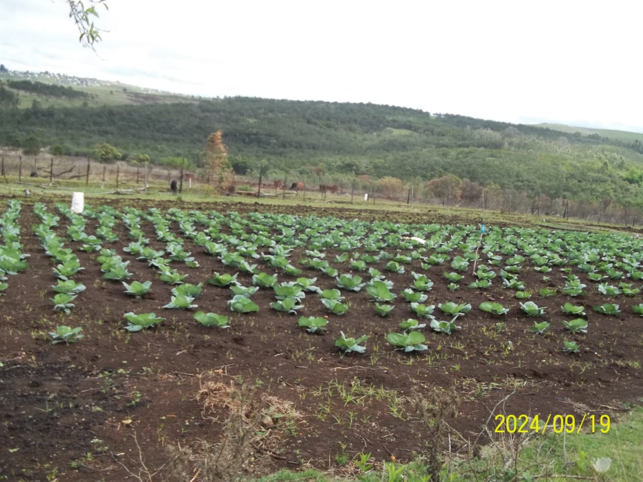 WhatsApp Image 2026-02-16 at 12.19.07