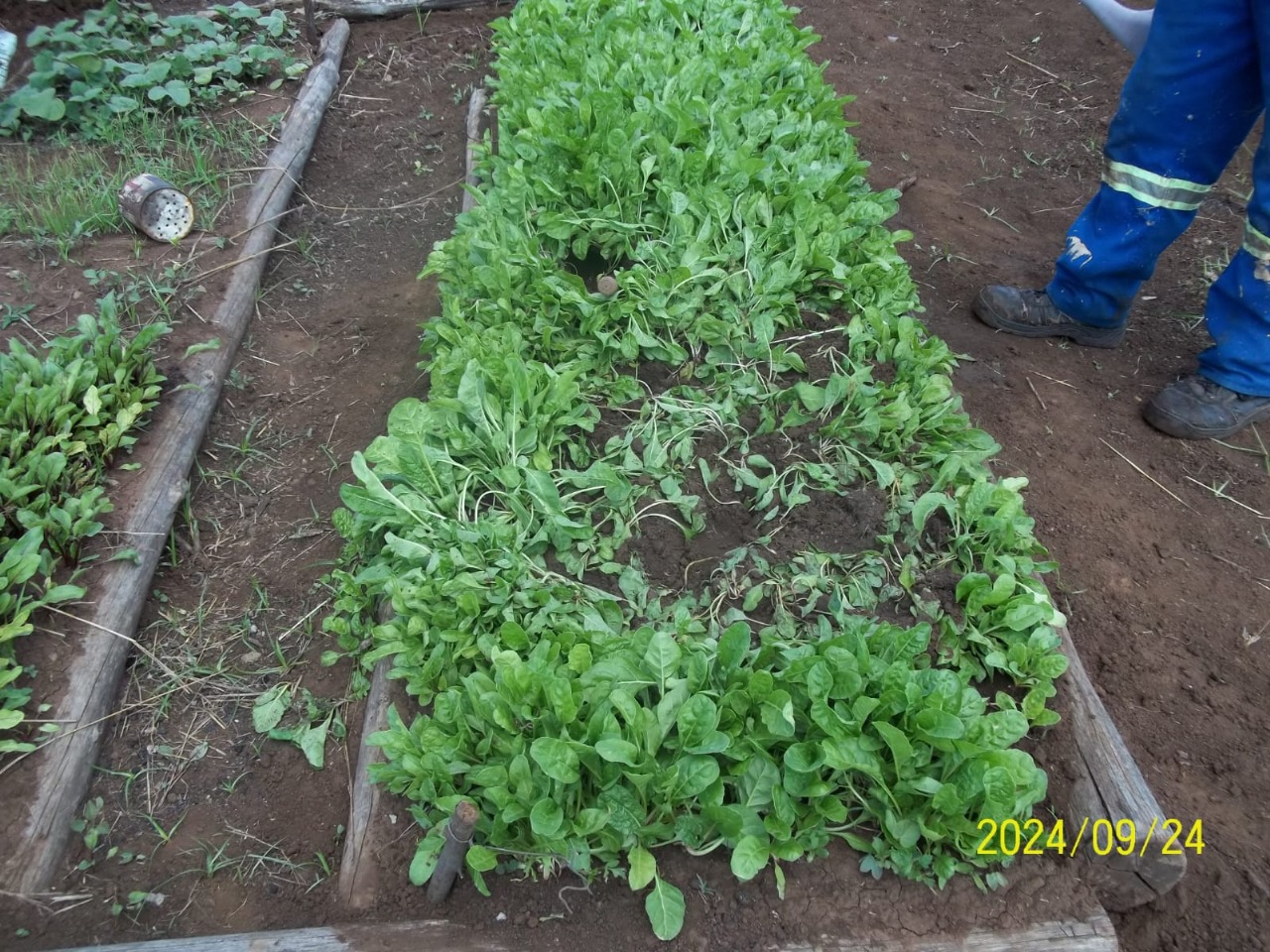 WhatsApp Image 2026-02-16 at 12.19.09 (1)